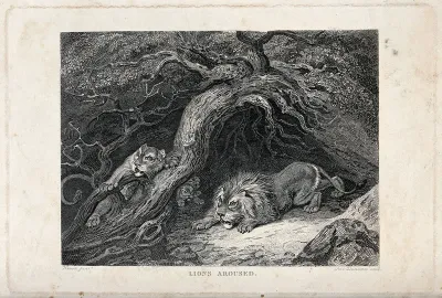A lion and lioness defending their cubs at the mouth of their den
