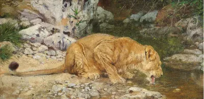 A lioness at the watering hole
