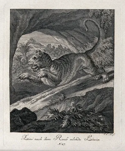 A lioness leaping off a rock in an exotic landscape