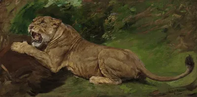 A lioness ready to pounce