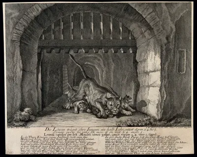 A lioness with her cubs in front of a cave with a portcullis