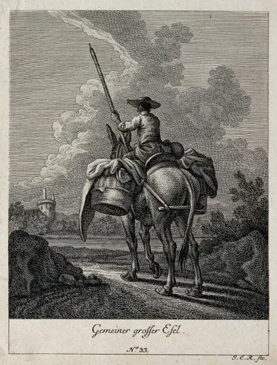 A loaded donkey carrying its drover, seen from behind, with a town wall and turret in the background