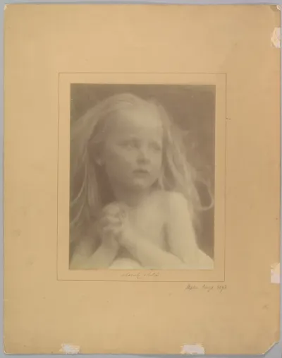A Lovely Sketch