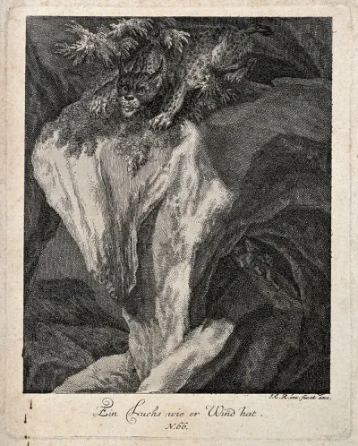 A lynx sitting on a crag getting wind of its prey