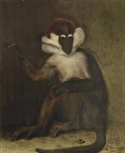A macaque