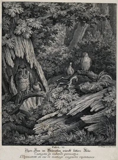 A magpie and an owl are sitting on a branch in a forest, tied to each other with a string, while a capercaillie, a bird of prey and a pidgeon are looking at the odd couple in disbelief