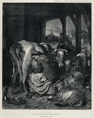 A maid is milking a cow surrounded by goats and a calf while a man watches the scene and a magpie is playing with the cow's bell