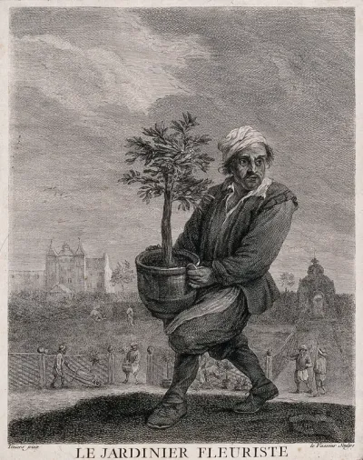 A man carries a large pot plant while, in the background, gardeners are at work