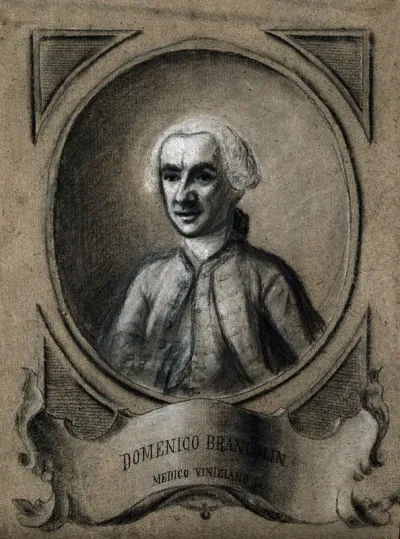 A man designated as Domenico Brandolin