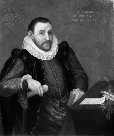 A man designated as John Gerard, surgeon and herbalist