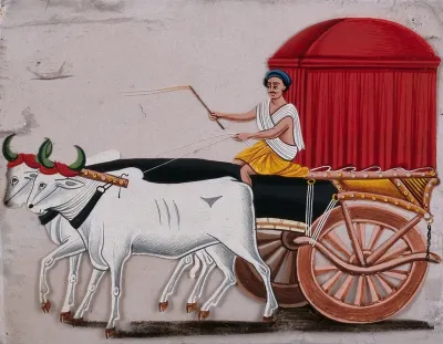 A man driving a bullock - carriage