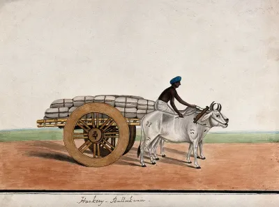 A man driving a bullock cart laden with sacks