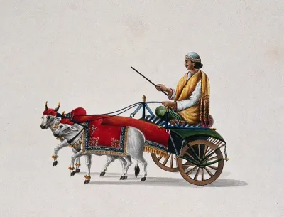 A man driving a bullock cart (ox cart) richly decorated