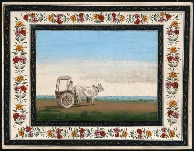 A man driving a small bullock cart with a canopied top