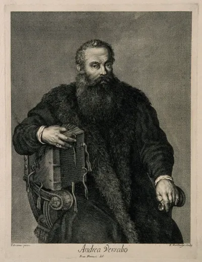 A man holding a large book, formerly designated as Andreas Vesalius