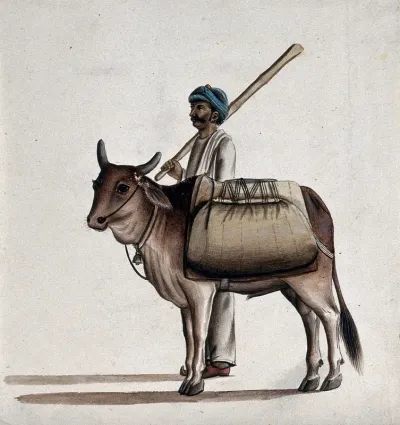 A man holding a stick, standing beside an ox carrying a load