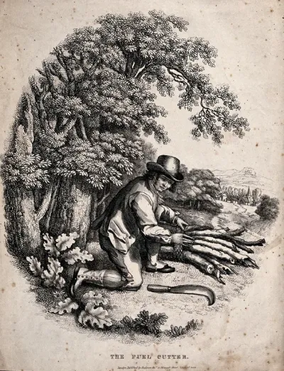 A man is cutting wood for fuel and binding it into bundles to carry