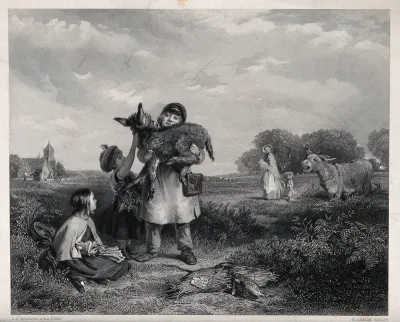 A man picking up a donkey foal with the aid of two girls with the mare crying out for its foal in the background
