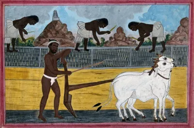 A man ploughing with oxen; in the background, women tending the paddy fields
