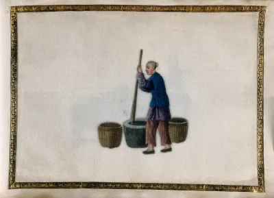 A man pounding tea leaves with a large pestle and mortar