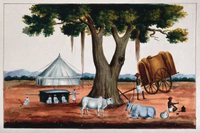 A man resting his ox and cart under a tree along with other carriage bearers
