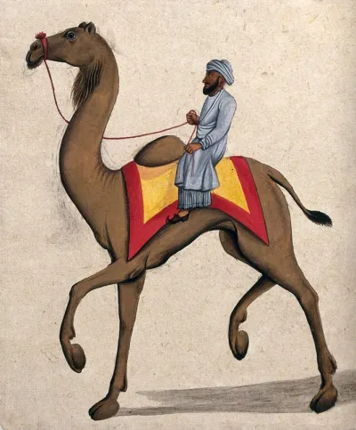 A man riding on a camel