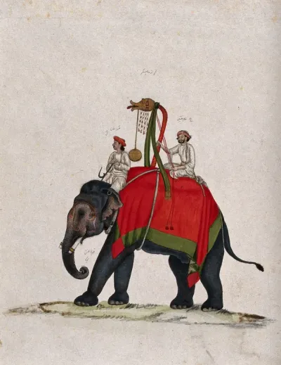 A man sitting on top of a elephant holding a decorative stick (?) with a medallion