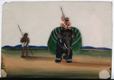 A man sitting on top of an elephant, which is carrying a bundle of long green harvest