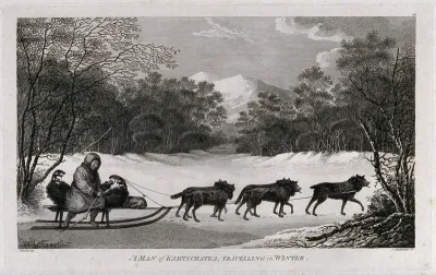 A man travelling on a sledge drawn by five dogs in Kamchatka
