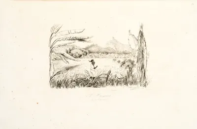 A Mangueira den 22' Octh 1842