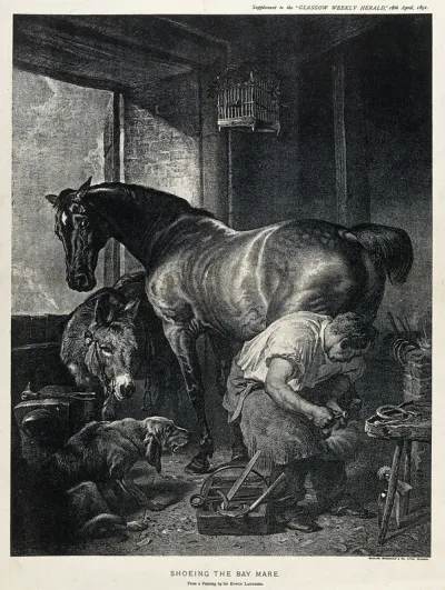 A mare is shod by a farrier in the company of a donkey and a dog
