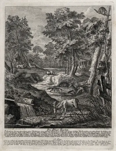 A menagerie with a stag at a watering place and foxes, hares, deer and a wild boar in the background