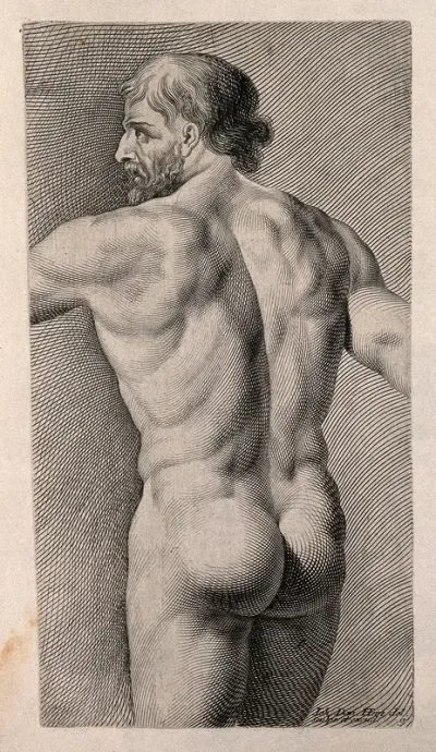 A middle aged man, nude: back view