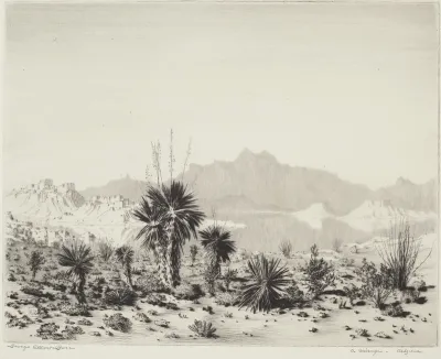 A Mirage, Arizona