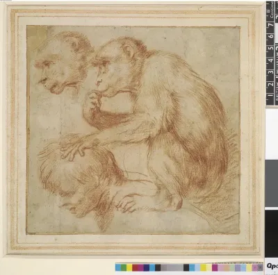 A Monkey on a Man's Shoulders in Profile to Left and a Study of Its Face