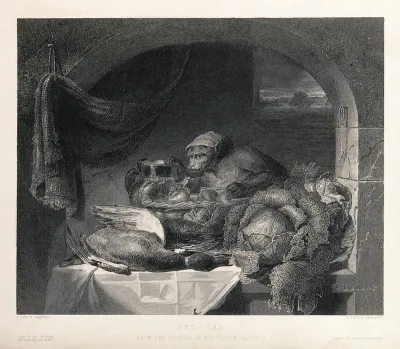 A monkey with a cap, standing behind a heavily laden table in a larder