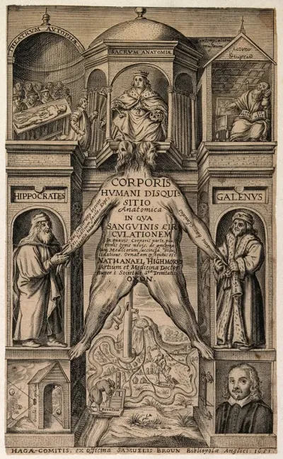 A monument within which is suspended the flayed skin of a man, with a canal system as an allegory of the circulation of blood, and other allegories of anatomy