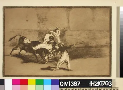 A Moor caught by the bull in the ring