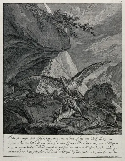 A mountain landscape with a vulture hovering over its prey, a chamois buck