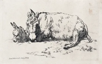 A mule and a foal resting on a patch of grass