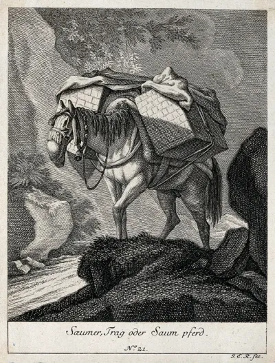 A muzzled pack-horse with a bell around its neck walking on a rocky path packed with two large boxes