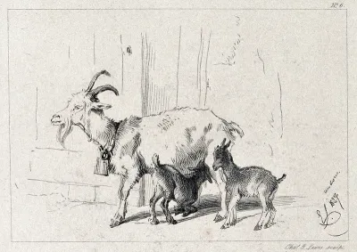 A nanny goat with its two kids