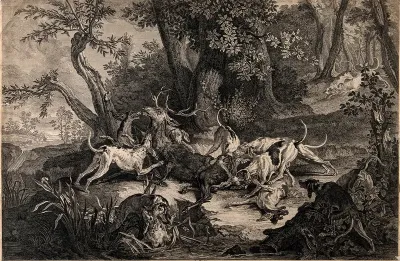 A pack of dogs attack a stag in a forest clearing by a river (?), tearing it to pieces