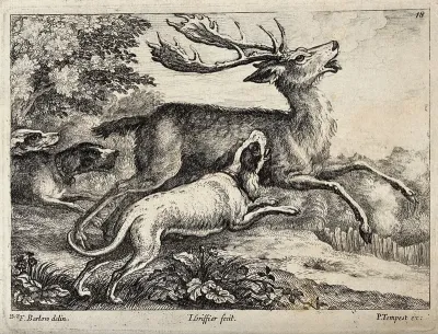 A pack of dogs is attacking a running stag