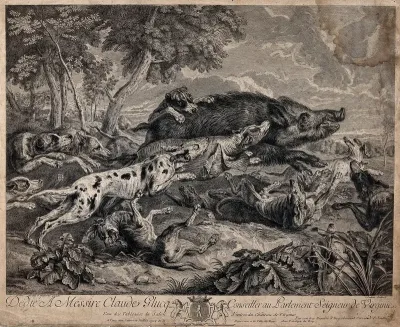 A pack of hounds attacking and running after wild boar