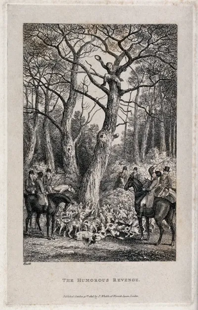 A pack of hounds chases a huntsmen up a tree with the mounted huntsmen looking on