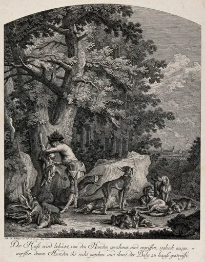 A pack of hunting dogs is resting amidst the prey on a forest-clearing while the huntsman is gutting a hare