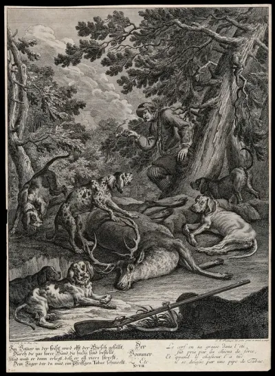 A pack of hunting hounds is resting next to a dead stag while the huntsman is leaning on a tree smoking a pipe