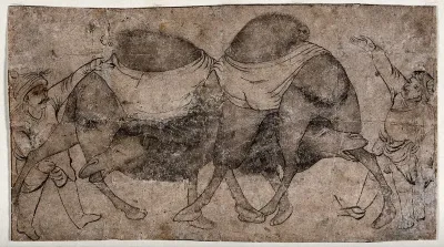 A pair of camels trying to catch each other's hind legs