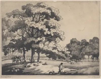 A Park Landscape
